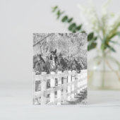 Lijn van Amish Horses Black en white Briefkaart (Staand voorkant)