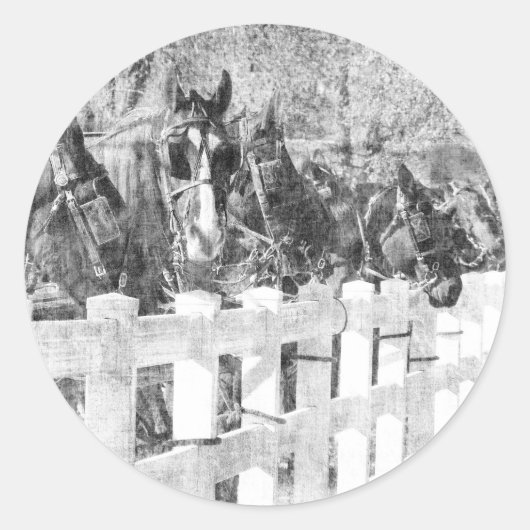 Lijn van Amish Horses Black en white Ronde Sticker (Voorkant)