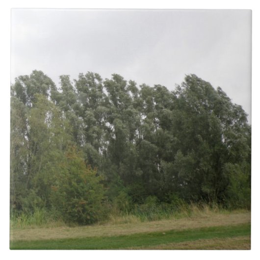 Lijn van de landschapslaag van de looibomen tegeltje (Voorkant)