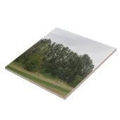 Lijn van de landschapslaag van de looibomen tegeltje (Zijkant)
