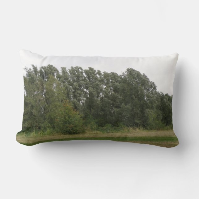 Lijn van de landschapslang van de loogbomen kussen (Voorkant)