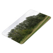 Lijn van hellende bomen Landschap Premium magneet (Linkerzijde)