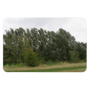 Lijn van hellende bomen Landschap Premium magneet