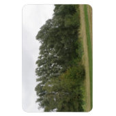 Lijn van hellende bomen Landschap Premium magneet (Verticaal)