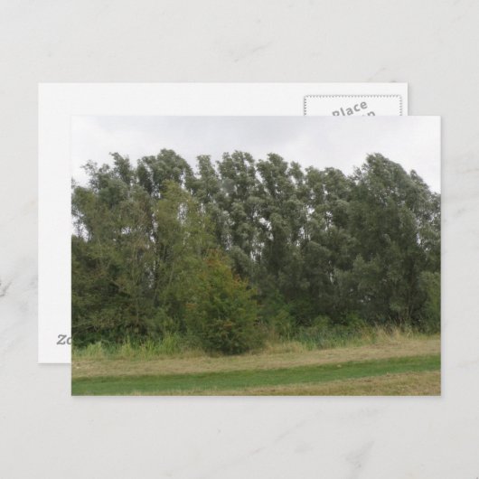 Lijn van het Briefkaart van het Landschap van de B (Voorkant / Achterkant)