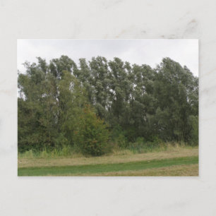 Lijn van het Briefkaart van het Landschap van de B
