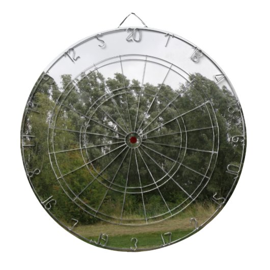 Lijn van het Landschap Dart Board Dartbord (Voorkant)