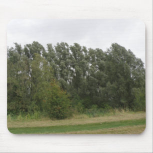 Lijn van het landschap Mousepad van de Leerbomen Muismat