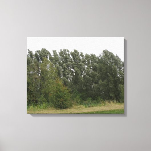 Lijn van het Landschap van de Bomen Afdrukken van (Voorkant)