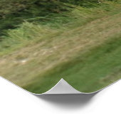 Lijn van het Landschap van de Bomen van de Leiding Poster (Hoek)