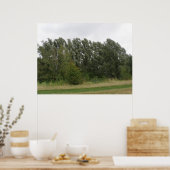 Lijn van het Landschap van de Bomen van de Leiding Poster (Keuken)