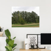 Lijn van het Landschap van de Bomen van de Leiding Poster (Thuiskantoor)