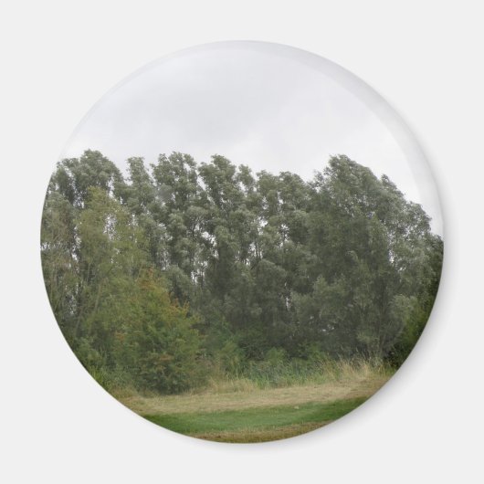 Lijn van het Landschap van de Bomen van de Lente M Magneet (Voorkant)