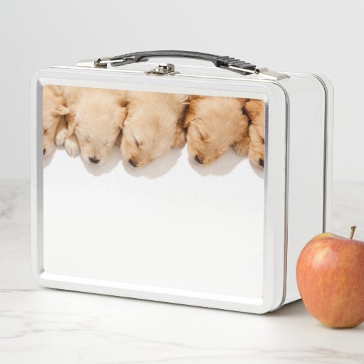 Lijn van Slaapende Golden Retriever Puppies (In situ)