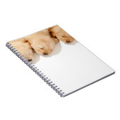 Lijn van Slaapende Golden Retriever-Puppies Notitieboek (Rechterzijde)