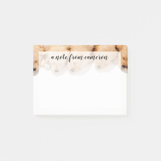 Lijn van Slaapende Golden Retriever Puppies Post-it® Notes (Voorkant)