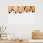Lijn van Slaapende Golden Retriever-Puppies Poster (Keuken)