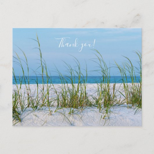 Lijn van Zeehaver in Witte Zand Thank you Postcard Briefkaart (Voorkant)