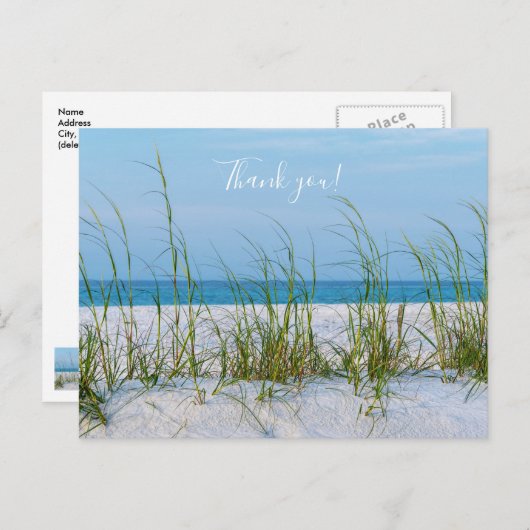 Lijn van Zeerijst in Witte Zand Thank you Postcard Briefkaart (Voorkant / Achterkant)