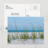 Lijn Zee haver in wit zand Briefkaart (Voorkant / Achterkant)
