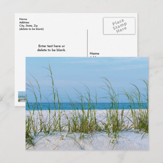 Lijn Zee haver in wit zand Briefkaart (Voorkant / Achterkant)