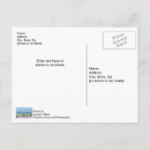 Lijn Zee haver in wit zand Briefkaart (Achterkant)