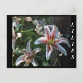 LIJNEN BRIEFKAART (Voorkant)