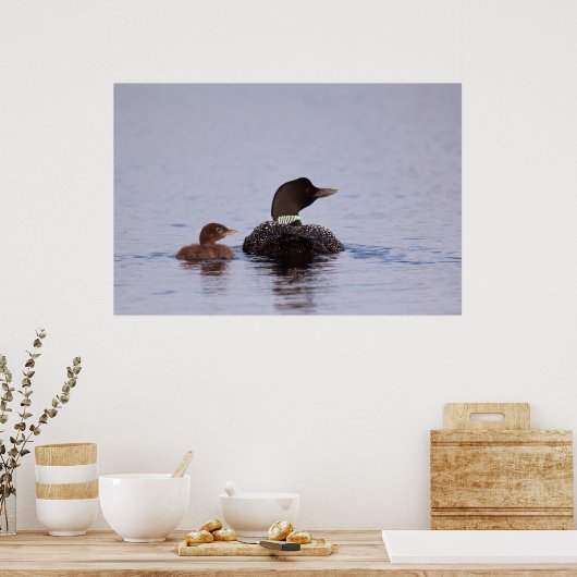 Lijnen op het voorgekookte meer poster (Keuken)