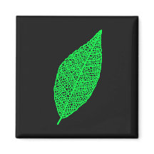 Lijnenkunst blad skelet zwart en groen