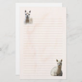 Lijngebondenheid Briefpapier (Voorkant / Achterkant)