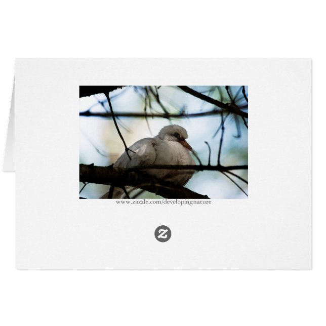 Lijnhoofd (Achterkant Horizontaal)