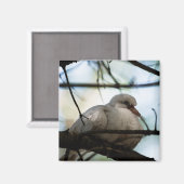 Lijnhoofd Magneet (Voorkant / Achterkant)