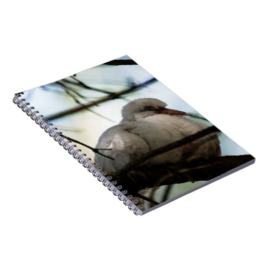 Lijnhoofd Notitieboek (Rechterzijde)