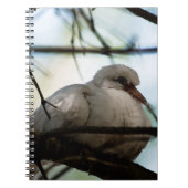 Lijnhoofd Notitieboek (Voorkant)