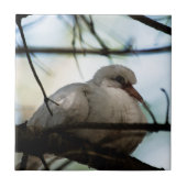 Lijnhoofd Tegeltje (Voorkant)