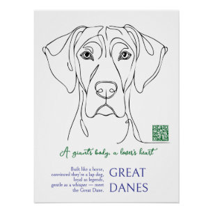 Lijnkunst Grote Dane Poster 