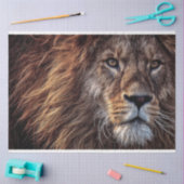 Lijnolie Tissuepapier (Craft)