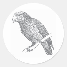 Lijntekening van papegaai (grijs) Fine Art Ronde Sticker