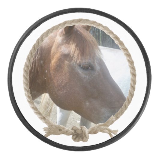 Lijst aangepast fotoontwerp voor penseellasso hockey puck (Voorkant)