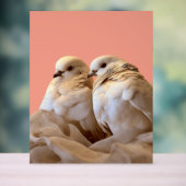 lijst acryl bord (Neutraal)