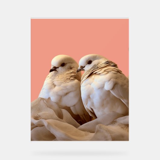 lijst acryl bord (Voorkant)