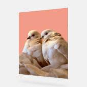 lijst acryl bord (Hoek)