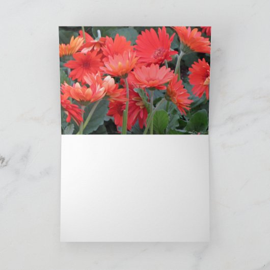 Lijst-Het wordt goed Kaart (Binnen)