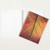 Lijst LicentieBord Planner (Display)
