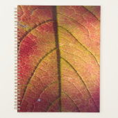 Lijst LicentieBord Planner (Voorkant)