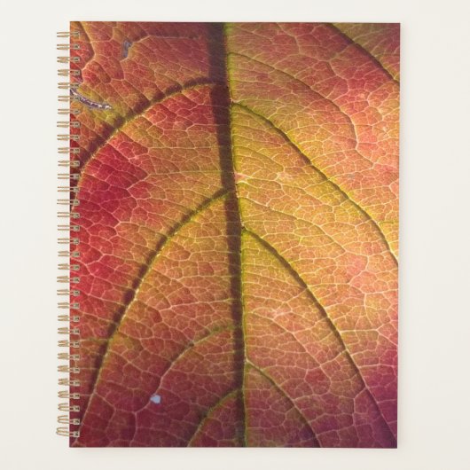 Lijst LicentieBord Planner (Voorkant)