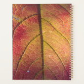 Lijst LicentieBord Planner (Achterkant)