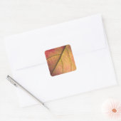 Lijst LicentieBord Vierkante Sticker (Envelop)