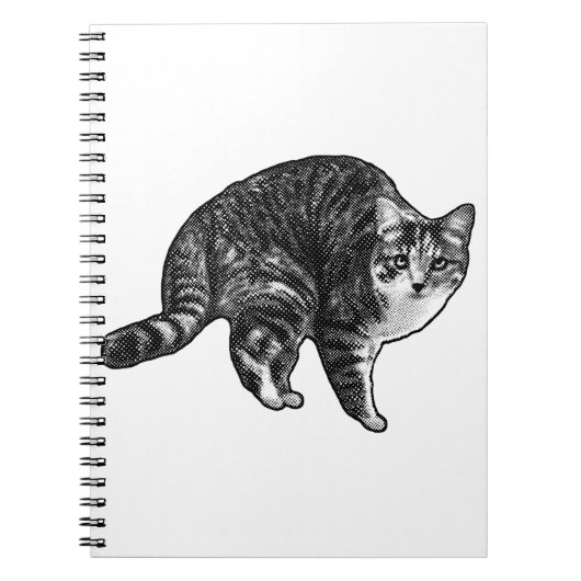 Lijst Tijd Tabby Notitieboek (Voorkant)
