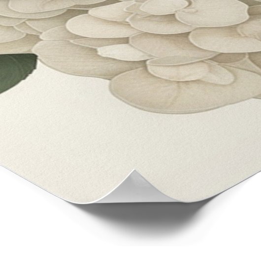 Lijst TV Islamitisch Poster (Hoek)